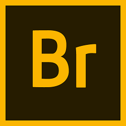 Adobe Bridge CC 2017 Free Download