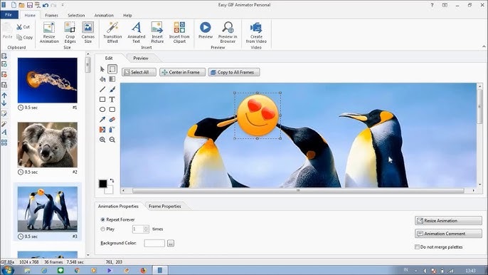 Easy GIF Animator Pro Free Download​