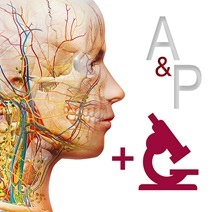 Visible Body Anatomy and Physiology Free Download